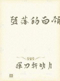 堕落的白领封面