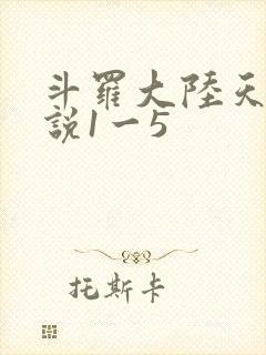 斗罗大陆天狂传说1一5封面