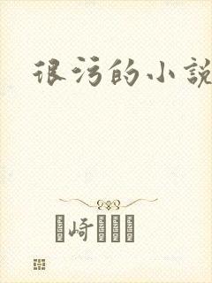 很污的小说封面