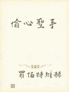偷心圣手