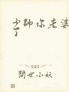 少帅你老婆又跑了