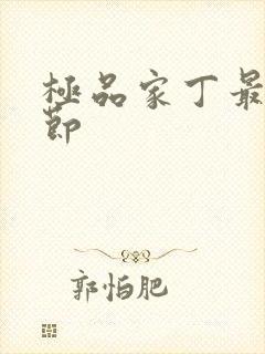 极品家丁最新章节