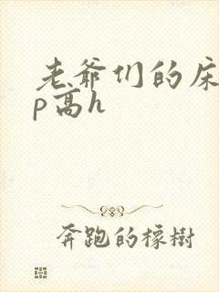 老爷们的床奴np高h