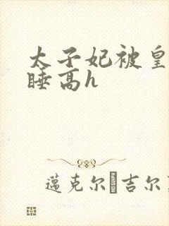 太子妃被皇上强睡高h