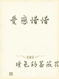 爱恋惜惜封面