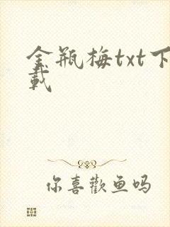 金瓶梅txt下载封面