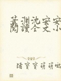 萧渊沈安安免费阅读全文小说