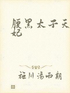 腹黑太子天降萌妃