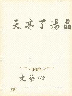 天亮了汤晶锦封面