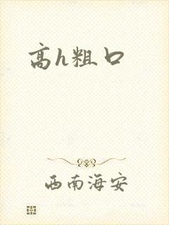 高h粗口