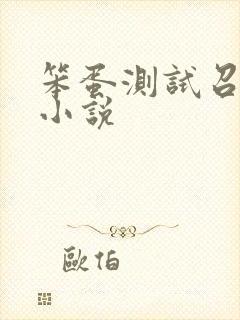 笨蛋测试召唤兽小说