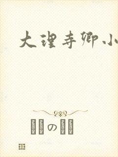 大理寺卿小说封面