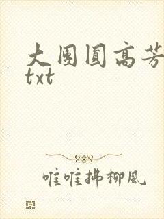 大团圆高芳小说txt