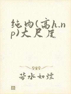 纯肉(高h.np)大尺度