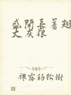 盛开长着翅膀的大灰狼封面