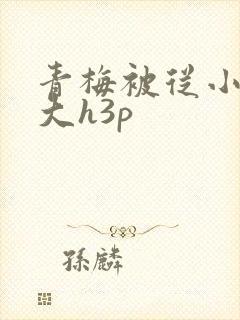 青梅被从小摸到大h3p