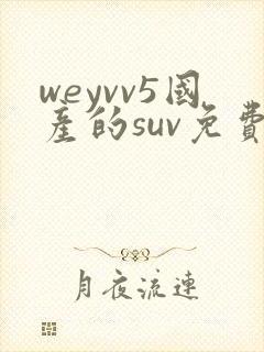 weyvv5国产的suv免费