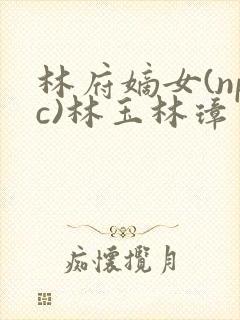 林府嫡女(npc)林玉林璋