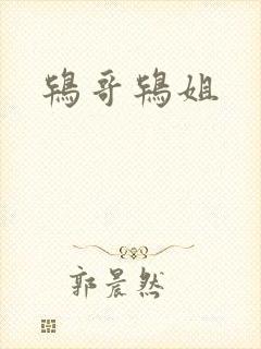 鸨哥鸨姐