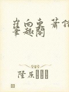 崔向东 萧错 笔趣阁