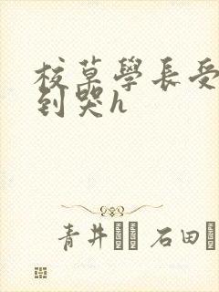 校草学长受被做到哭h
