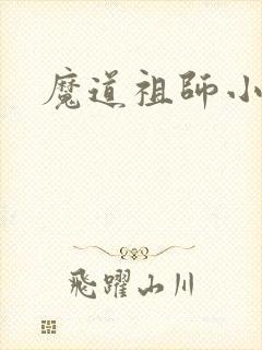 魔道祖师小说