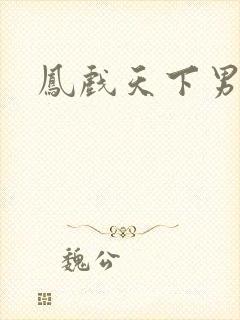 凤戏天下男