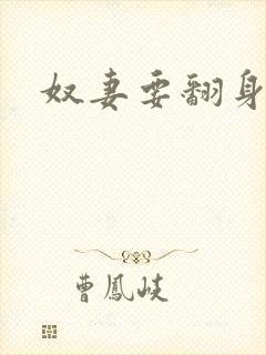 奴妻要翻身封面