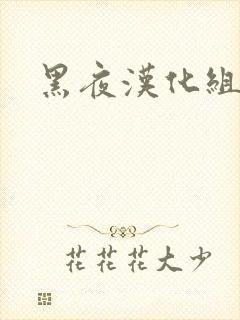 黑夜汉化组