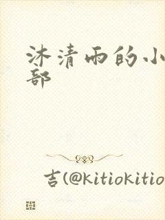 沐清雨的小说全部