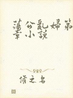 荡公乱妇第51章小说