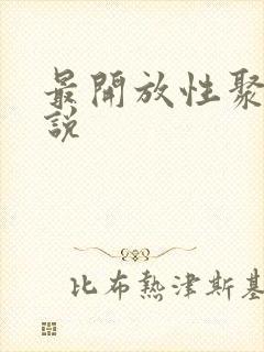 最开放性聚会小说