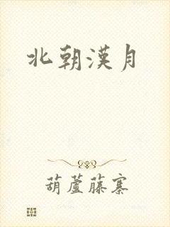 北朝汉月