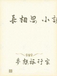 长相思 小说