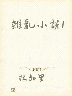 杂乱小说1