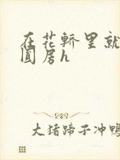 在花轿里就开始圆房h