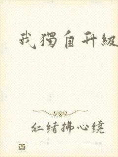 我独自升级小说