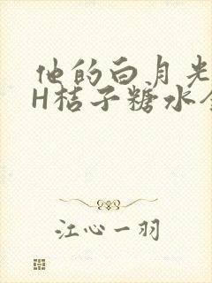 他的白月光HVH桔子糖水全文