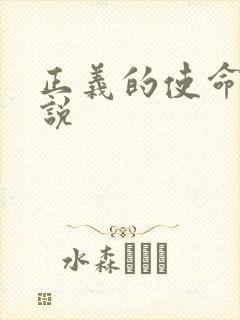 正义的使命 小说