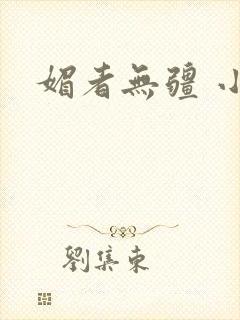 媚者无疆 小说封面