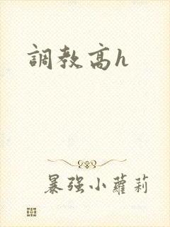 调教高h