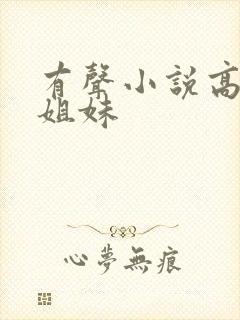 有声小说高树三姐妹封面