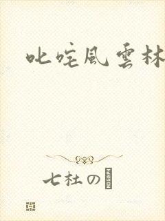 叱咤风云林云封面