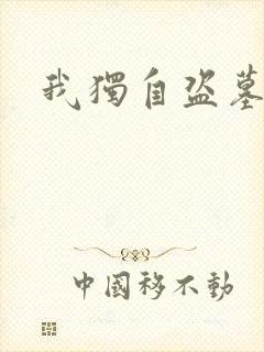 我独自盗墓