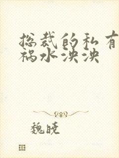 总裁的私有宝贝祸水泱泱封面