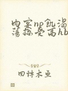 肉宴np饥渴放荡总受高hbl封面