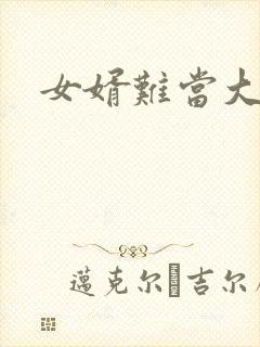 女婿难当大结局