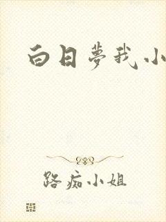 白日梦我小说封面