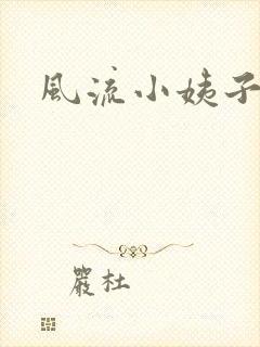风流小姨子封面