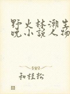 野火林潮生林晚晚小说人物野火